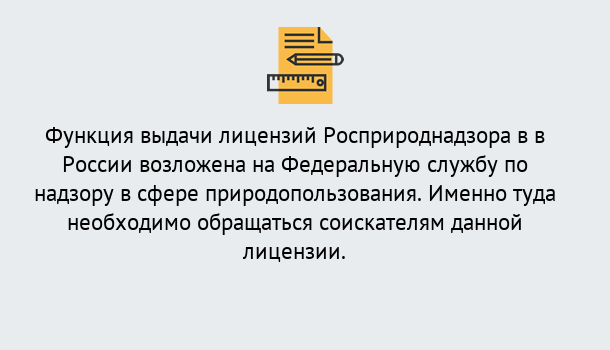 Почему нужно обратиться к нам? Лангепас Лицензия Росприроднадзора. Под ключ! в Лангепас