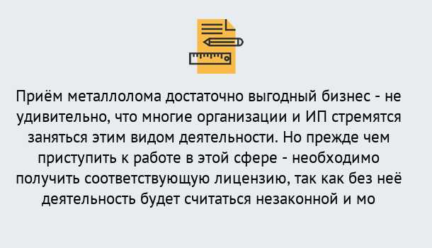 Почему нужно обратиться к нам? Лангепас Лицензия на металлолом. Порядок получения лицензии. В Лангепас