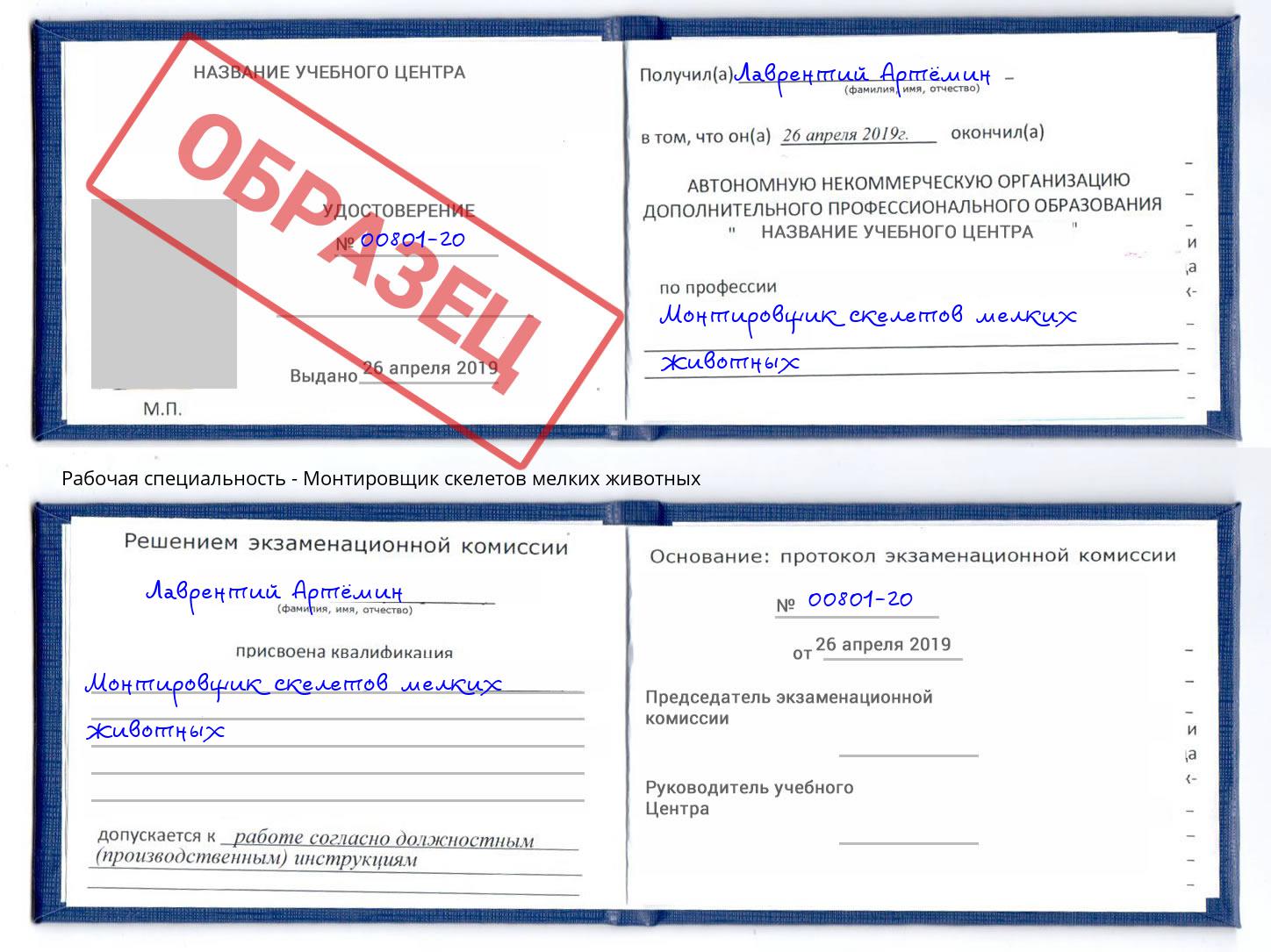 Монтировщик скелетов мелких животных Лангепас