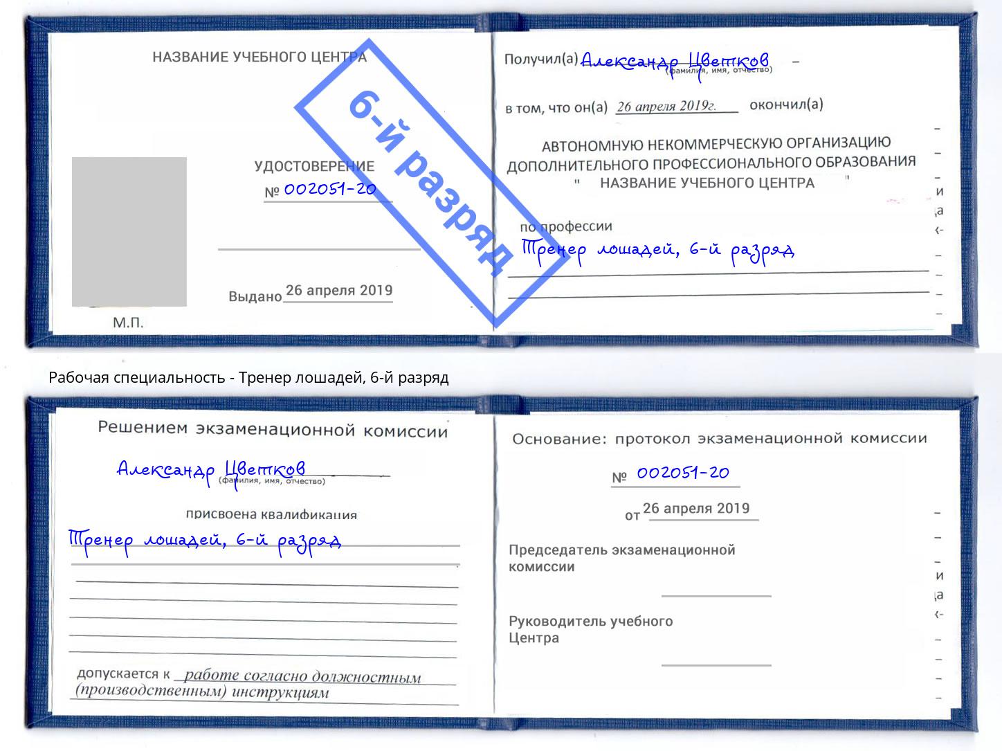 корочка 6-й разряд Тренер лошадей Лангепас