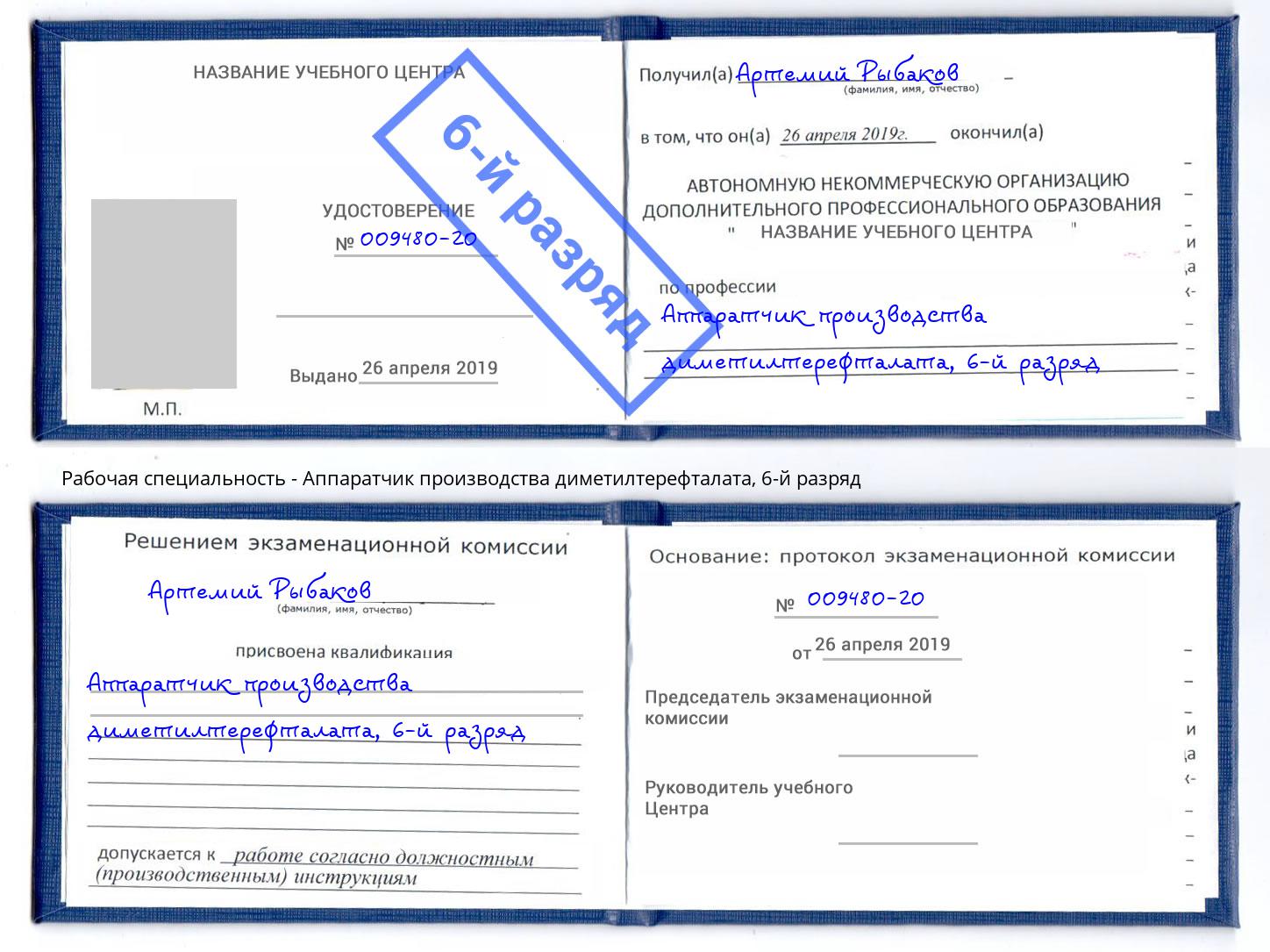 корочка 6-й разряд Аппаратчик производства диметилтерефталата Лангепас
