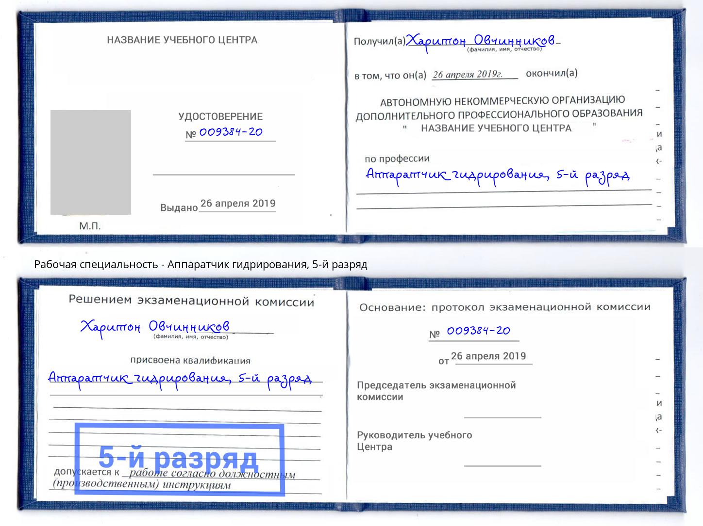 корочка 5-й разряд Аппаратчик гидрирования Лангепас
